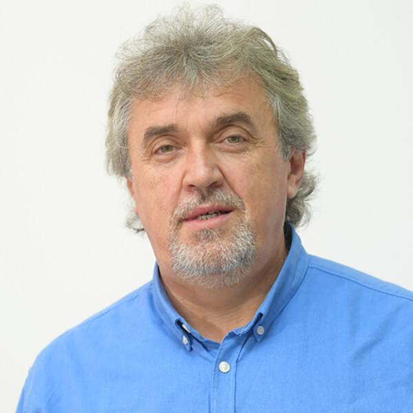 miroslav pavlovic
